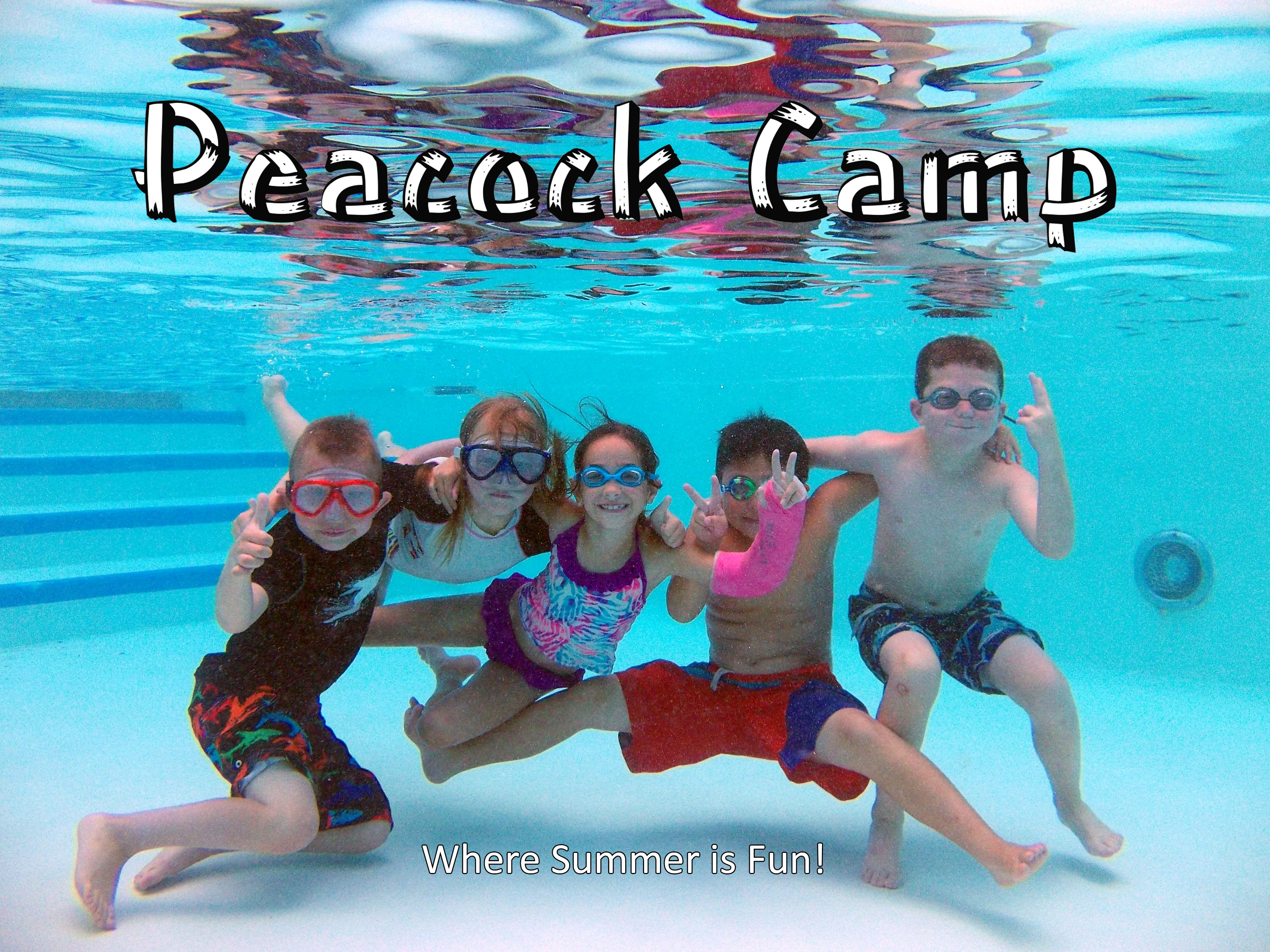 Peacock Camp Lake Villa Township